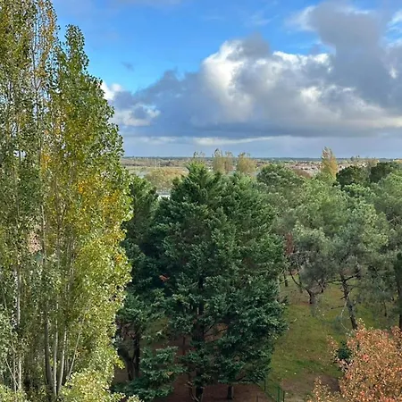 Bright Near And Center Arcachon